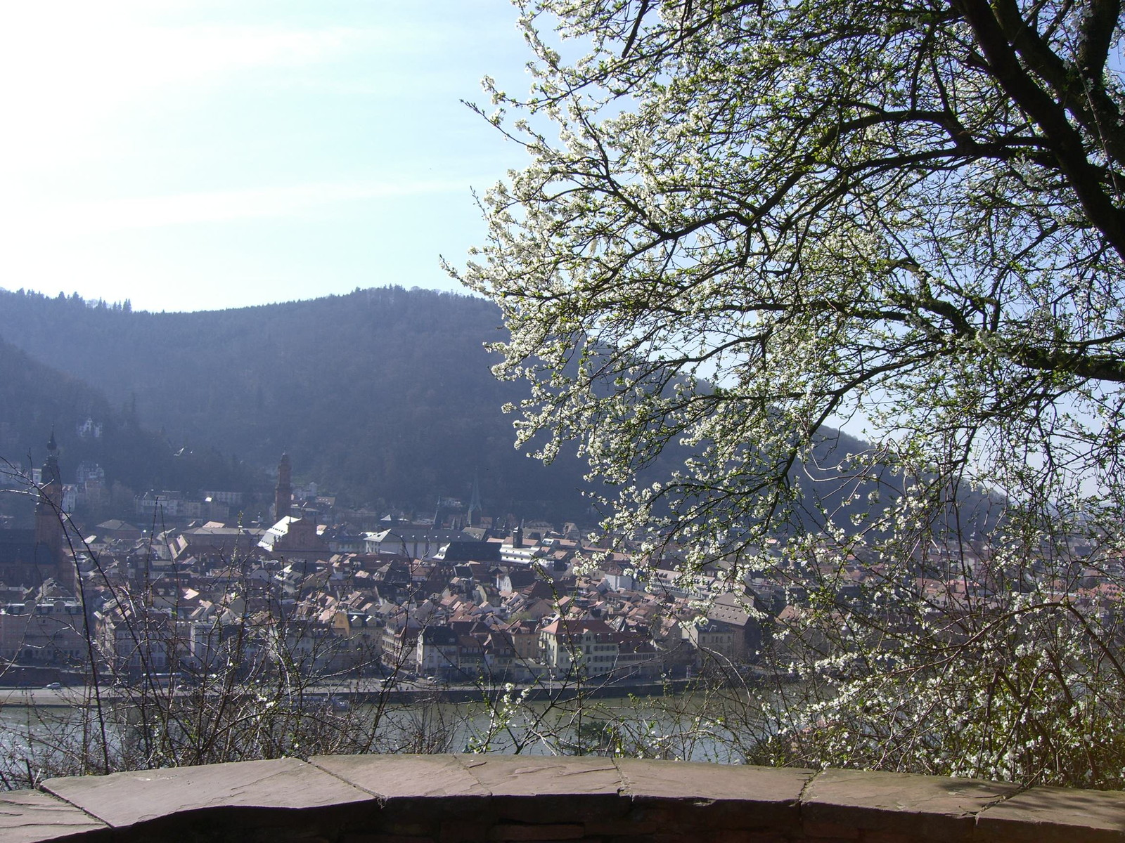 Heidelberger Altstadt